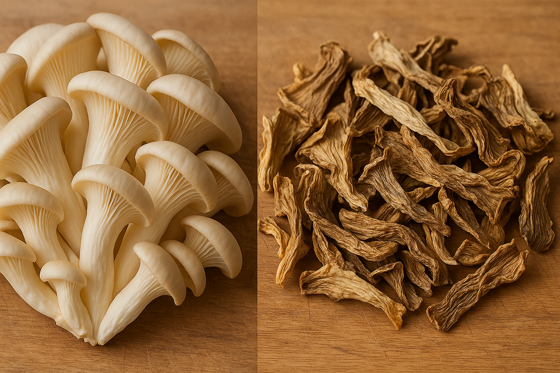 Fresh vs. Dried Oyster Mushroom