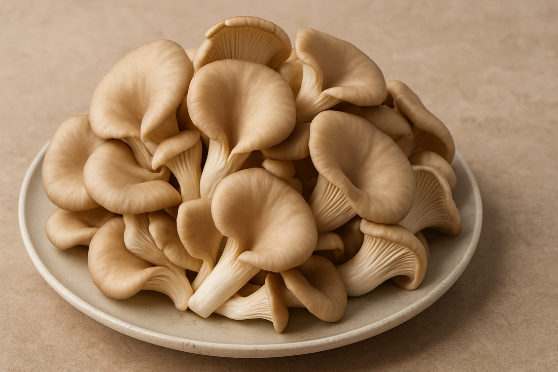 Health Benefits of Oyster Mushrooms