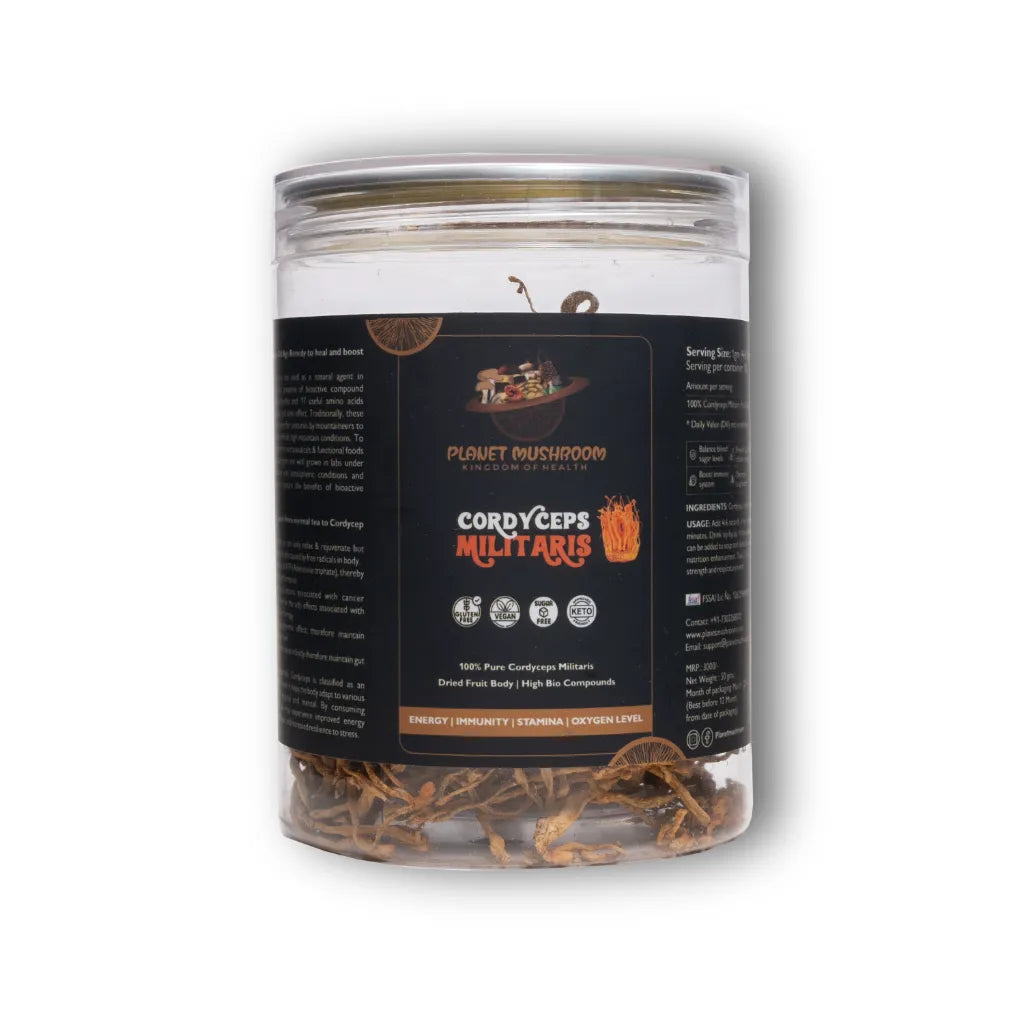 Cordyceps Militaris Mushroom