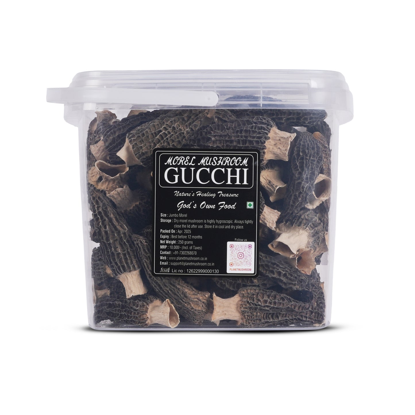 Jumbo Gucchi Mushroom