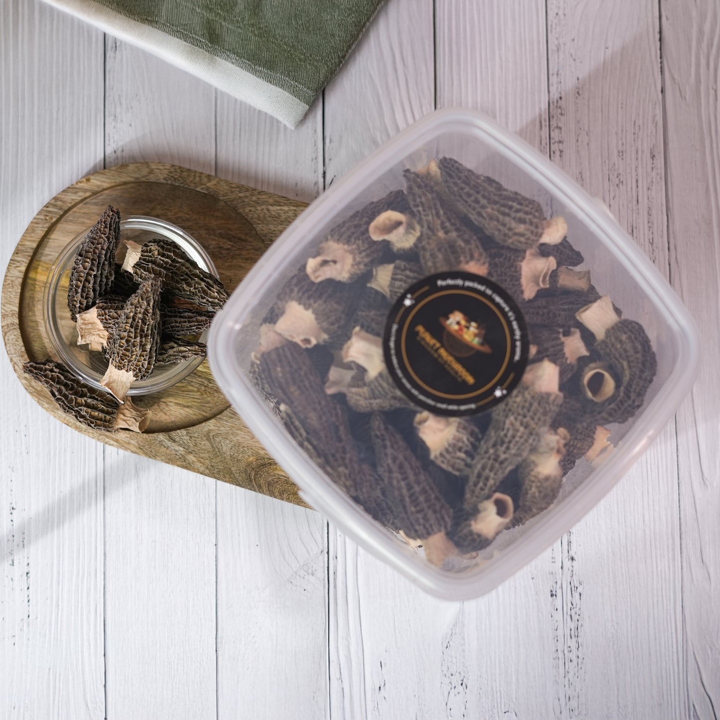 Jumbo Gucchi Mushroom
