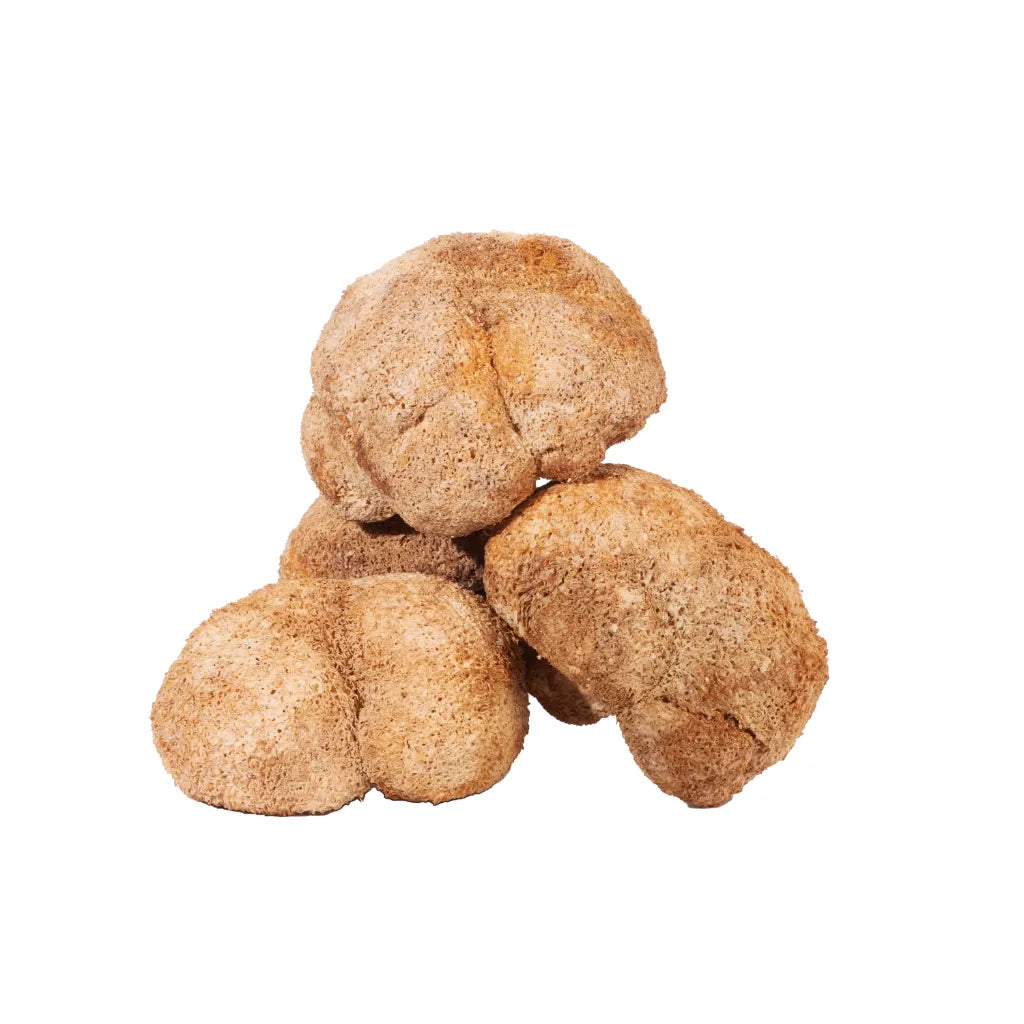 Dried Lion's Mane Mushroom