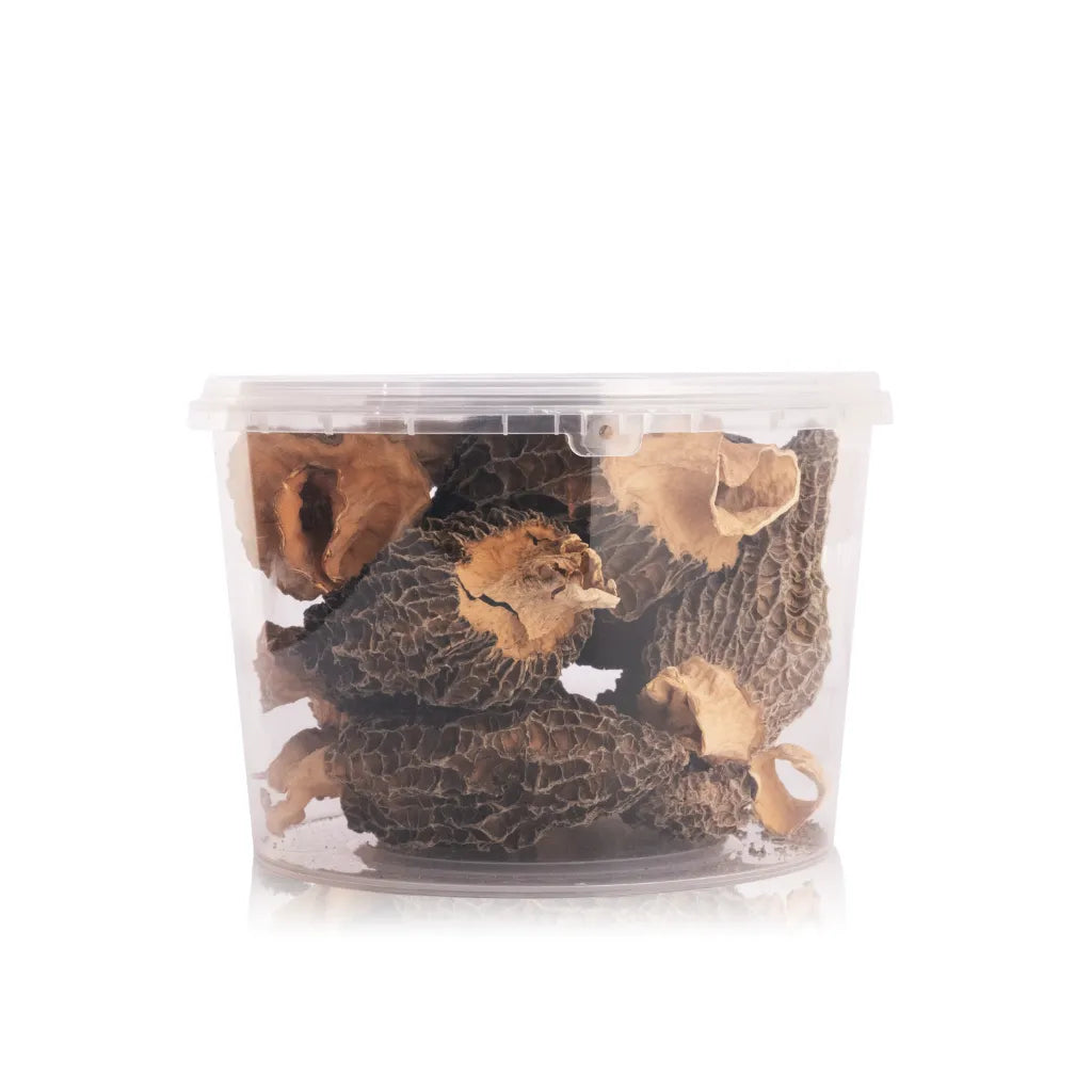 Dried Big Gucchi Mushroom (Morel Mushroom)