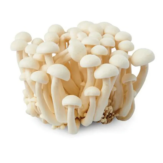 White Shimeji Mushroom