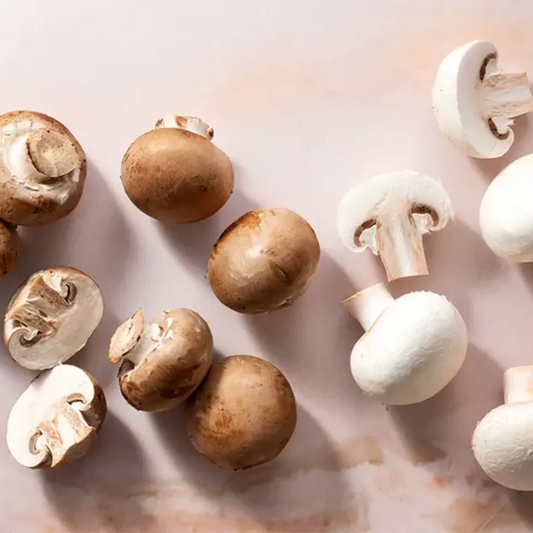 White Button Mushroom