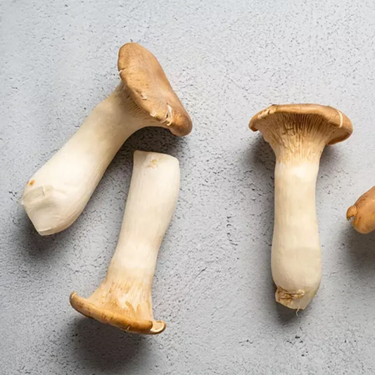 King Oyster Mushroom