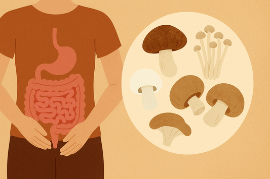 improve gut health through mushrooms