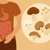 How to Improve Gut Health Through Mushrooms?