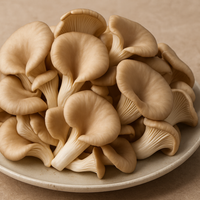 Oyster Mushroom Benefits and Advantages For Health
