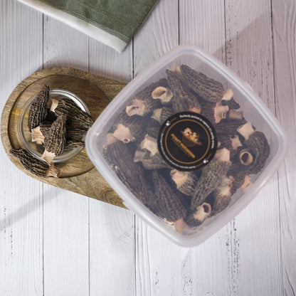 Jumbo Gucchi Mushroom