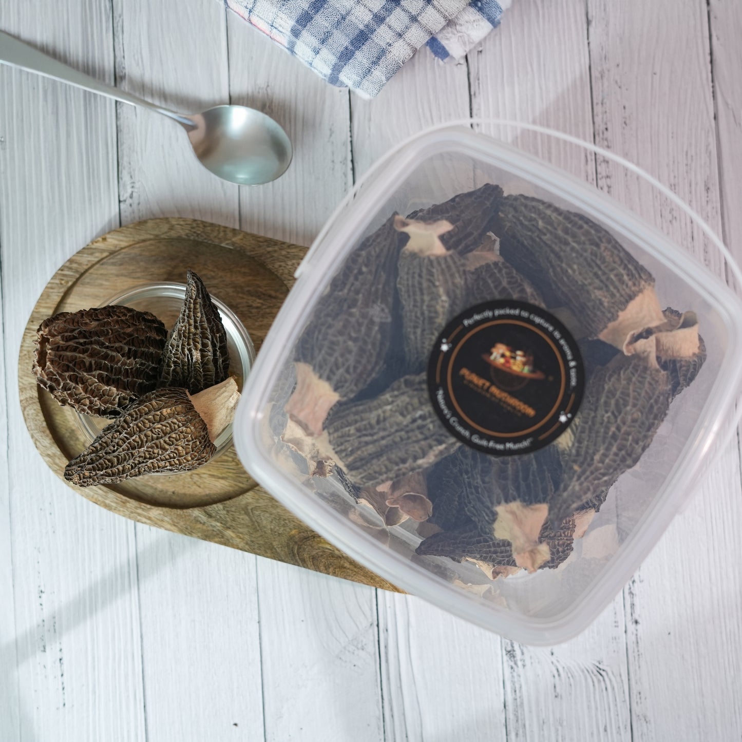 Super Jumbo Gucchi Mushroom
