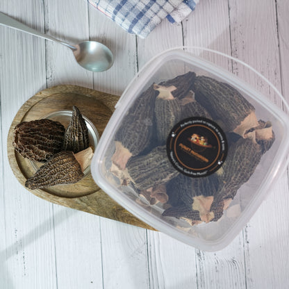 Super Jumbo Gucchi Mushroom