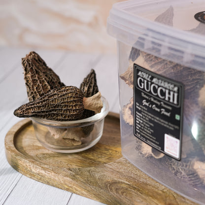 Super Jumbo Gucchi Mushroom