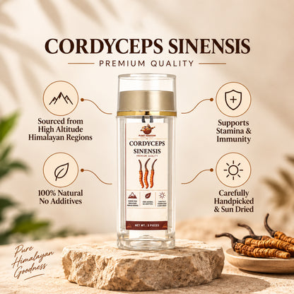 Cordyceps Sinesis Mushroom (Keedajadi)