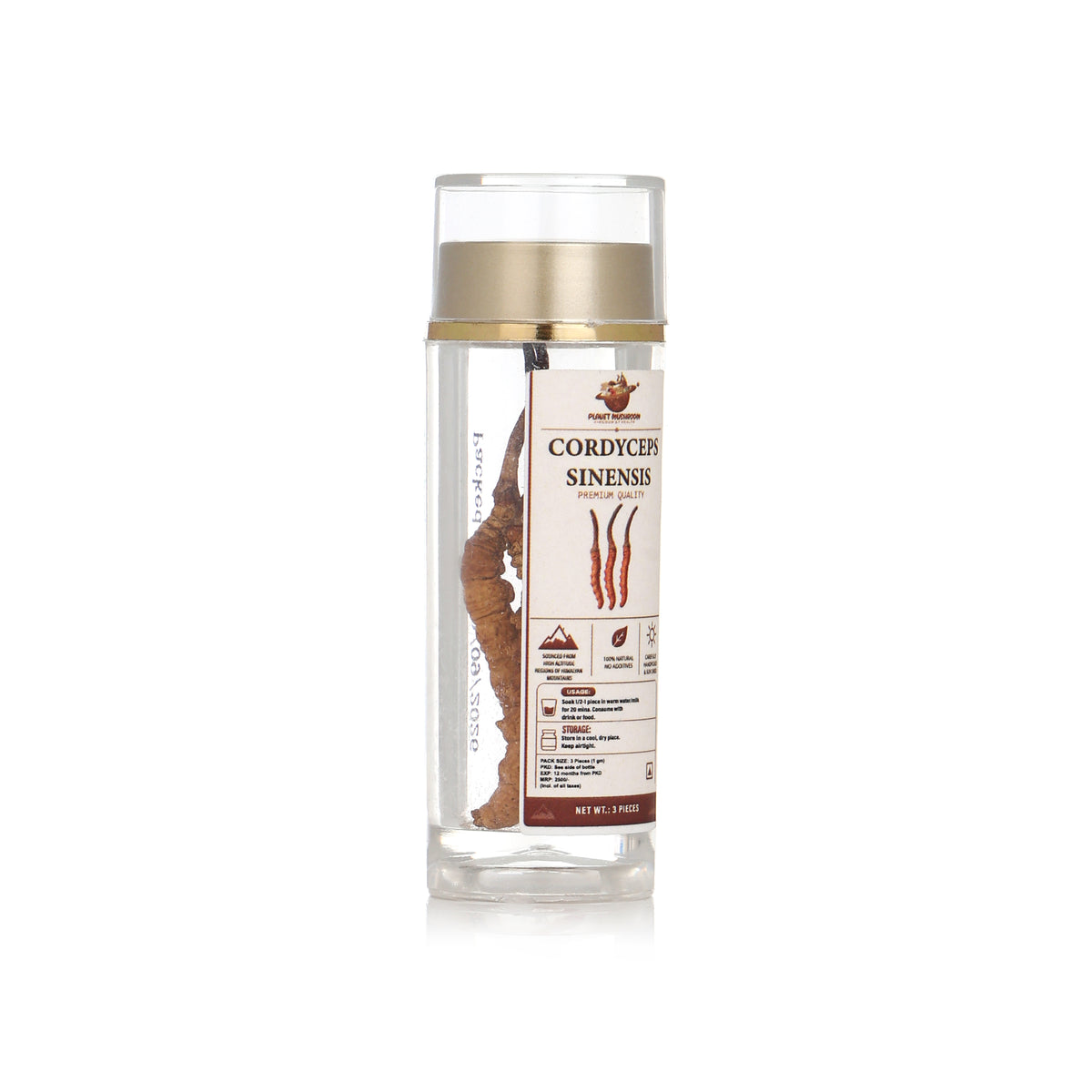 Cordyceps Sinesis Mushroom (Keedajadi)