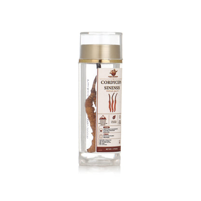 Cordyceps Sinesis Mushroom (Keedajadi)