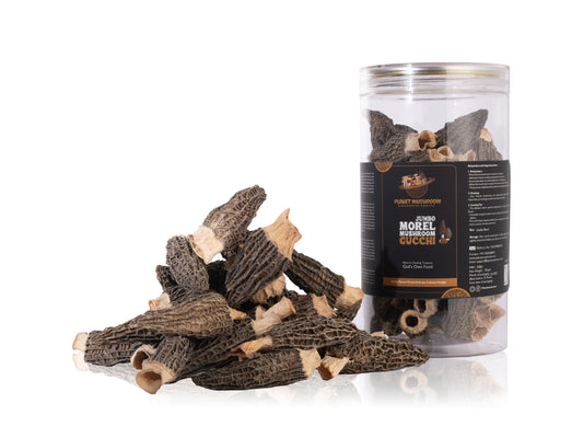 Premium Grade Gucchi Mushroom (Box of 50 gms)