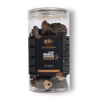 Premium Grade Gucchi Mushroom (Box of 50 gms)
