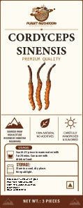 Cordyceps Sinesis Mushroom (Keedajadi)