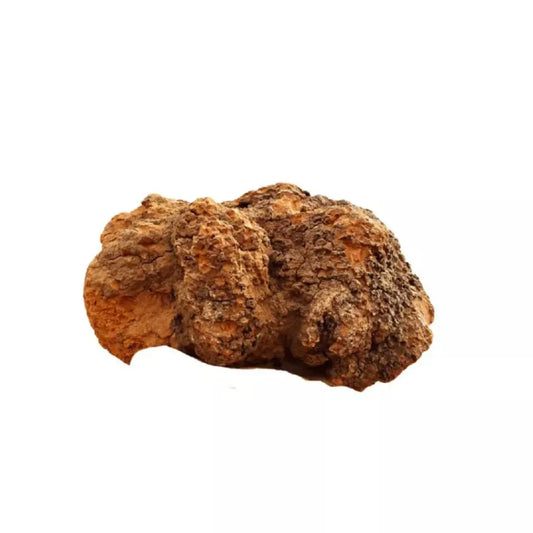 Chaga Mushroom Chunks