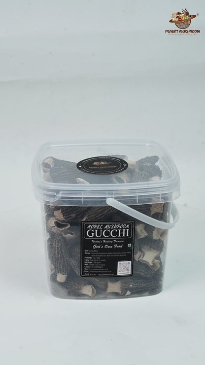 Jumbo Gucchi Mushroom