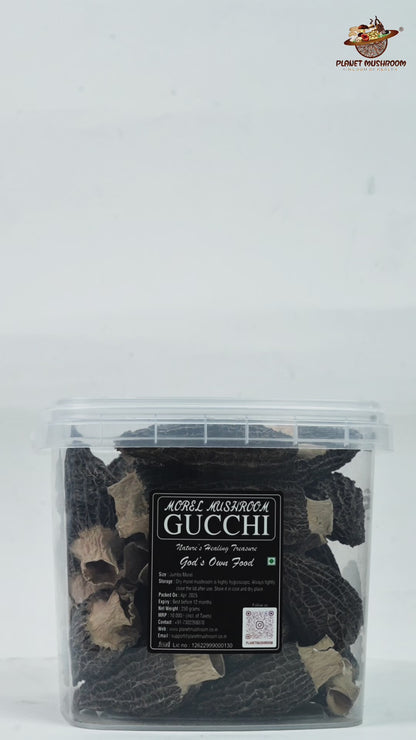Super Jumbo Gucchi Mushroom